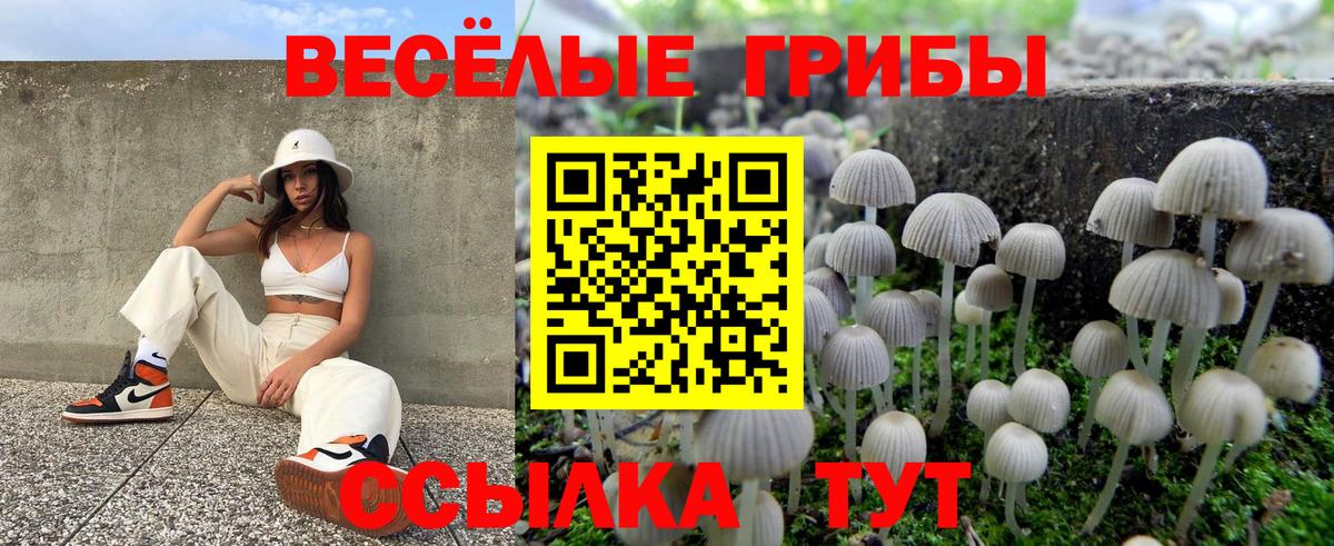 дарнет шоп  Псилоцибиновые грибы Psilocybine cubensis  Фрязино  Вход с VPN  Галлюциногенные грибы Magic Shrooms 