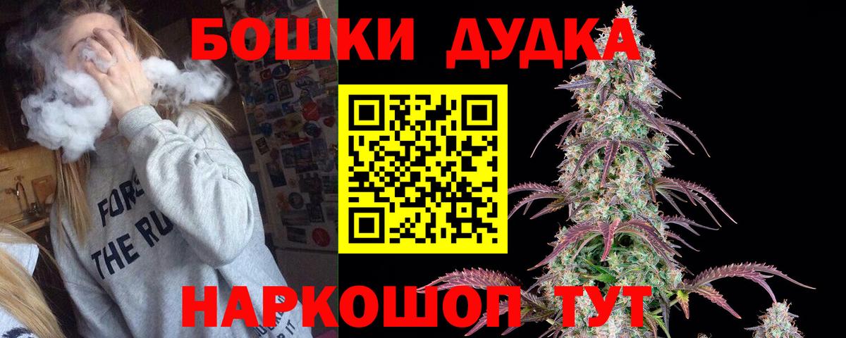 Шишки марихуана план  Канабис LSD WEED  Фрязино  Вход с VPN  Шишки марихуана LSD WEED 